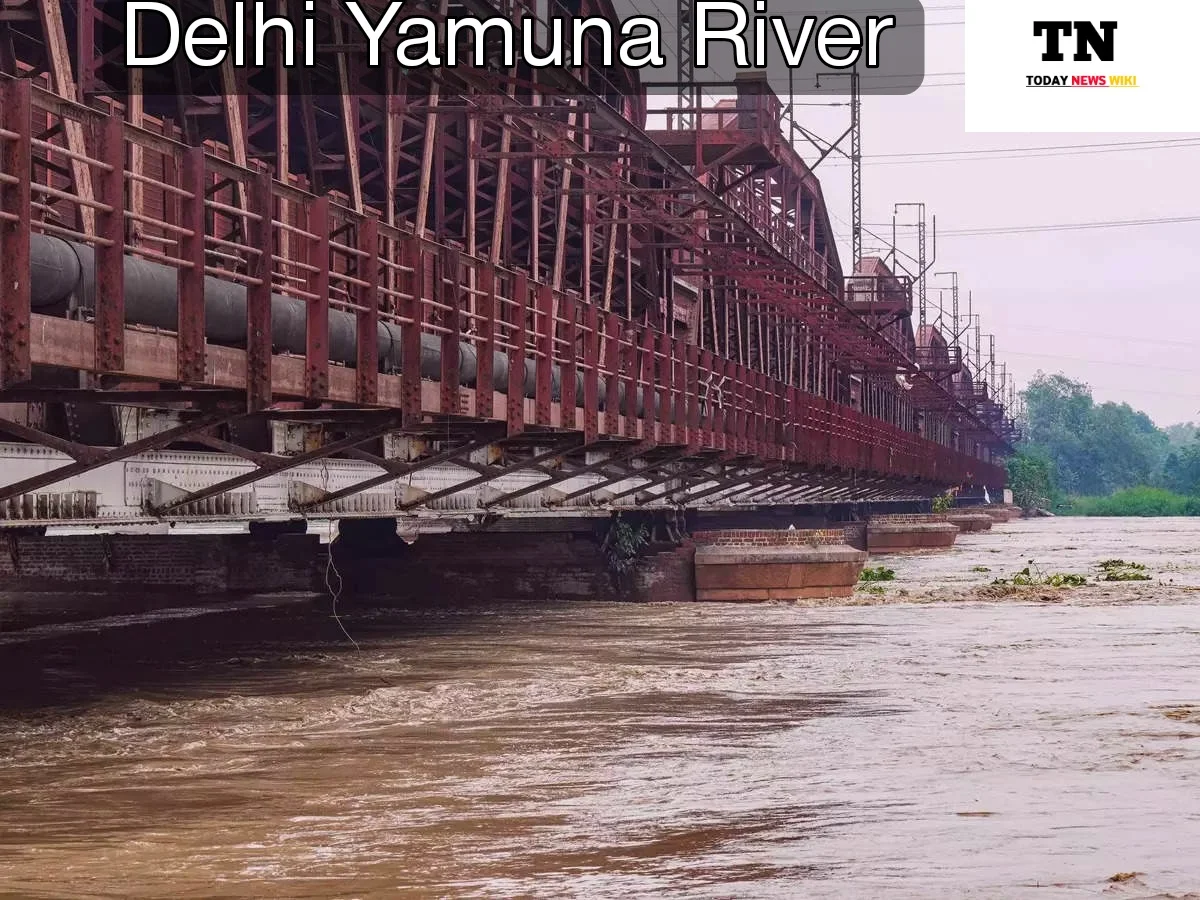Delhi Yamuna River: दिल्ली में यमुना नदी ने दिखाया विकराल रूप, डूबने की कगार पर राजधानी | Flood